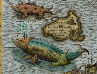 Fragment mapy morza (Marina Carta) autorstwa Olausa Magnusa (1490-1557)