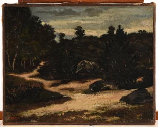Francuski: Chemin sableux en forêt de Fontainebleau