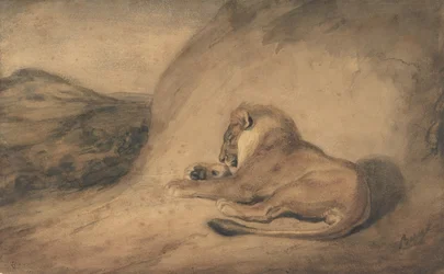 Odpoczynek lwa, 1810-75.