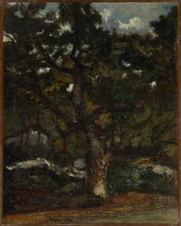 Działka w lesie Fontainebleau