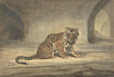 Tygrys, 1810-75.