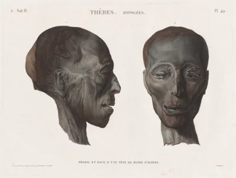 Opis Egiptu: Thebes. Hypogees Vol. II, Pl. 49