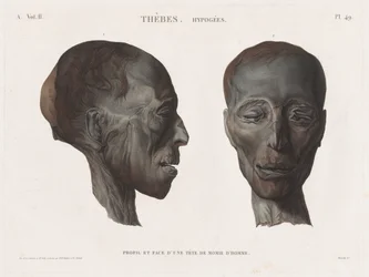Opis Egiptu: Teby. Hypogees Cz. II, Pl. 49.