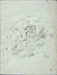 Szef grupy Laocoon
