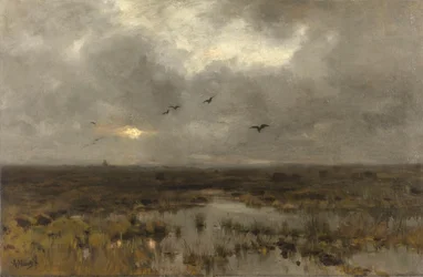 Mokradło