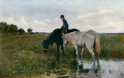 Pojenie koni, 1871, 1912.