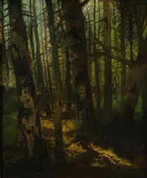 Karczowanie lasów