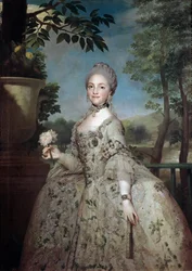 Portret Marii Louise z Parmy, księżnej Asturii (olej na płótnie)