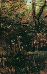 Polana z ostami