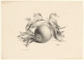 Pomarańczowy Owoce (tytuł serii)