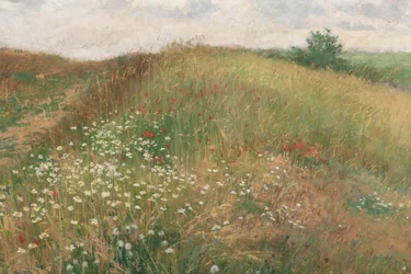 Lato, 1897.