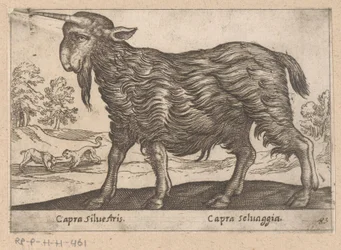 Koza z jednym rogiem Capra Silvestris/ Capra Selvaggia (tytuł na obiekcie) Dieren en fablewezens (tytuł serii) Nowa kolekcja najciekawszych zwierząt świata (tytuł serii)