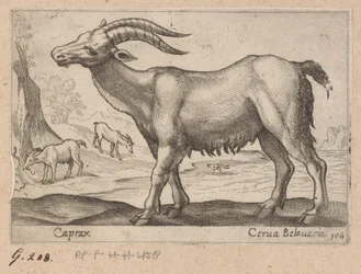 Klejnoty Caprax/ Cerua Belzuaria (tytuł na obiekcie) Dieren en fablewezens (tytuł serii) Nowa kolekcja najciekawszych zwierząt świata (tytuł serii)