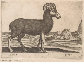 Klejnoty Cerinis / Ceruio (tytuł na obiekcie) Dieren en fabelwezens (tytuł serii) Kolekcja Nova najbardziej ciekawskich zwierząt na świecie (tytuł serii)