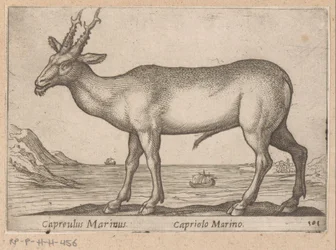 Hert Capreulus Marinus/ Capriolo Marino (tytuł na obiekcie) Dieren en fablewezens (tytuł serii) Nowa kolekcja najciekawszych zwierząt świata (tytuł serii)