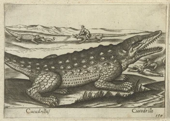 Krokodyl Coccodrillus/ Krokodyl (tytuł na obiekcie) Dieren en fablewezens (tytuł serii) Nowa kolekcja najciekawszych zwierząt świata (tytuł serii)