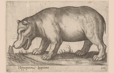 Hipopotam Hipopotam/Ippopotamo (tytuł na obiekcie) Zwierzęta i mityczne stworzenia (tytuł serii) Nova raccolta de li animali piu curiosi del mondo (tytuł serii)