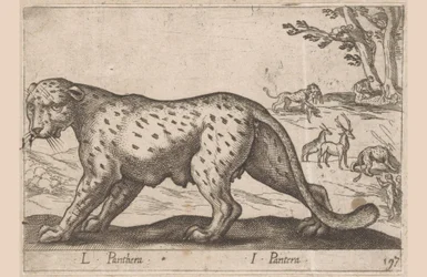 Pantera L Panthera/ I Panthera (tytuł na obiekcie) Dieren en fablewezens (tytuł serii) Nowa kolekcja najciekawszych zwierząt świata (tytuł serii)
