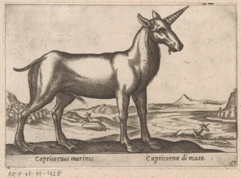 Koziorożec jako zwierzę morskie Capricornus marinus/ Capricorno di mare (tytuł na obiekcie) Zwierzęta i mityczne stworzenia (tytuł serii) Nova raccolta de li animali piu curiosi del mondo (tytuł serii)