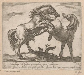 Twee parende paarden Paarden uit verschiedelden landen (tytuł serii) Z tymi przywódcami będziesz uhonorowany jako przywódca z ustami viroru.