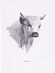 Bydło Parkowe, 1938