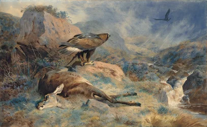 Zagubiony Hind