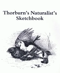 Strona tytułowa (stoat i gamebird), wyd. przez Book Club Associates