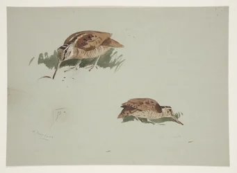 Dwie winiety ze słonkami, ok. 1915