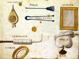Ilustracje z „Księgi alfabetu francuskiego z 1814 roku”, wyd. autorstwa Charlesa Plante Fine Arts