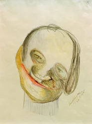 Karykatura 8