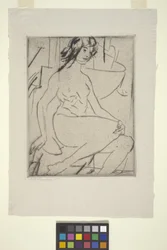 Irys (sucha igła)