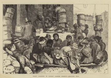 Wczesny poranek na targu Covent Garden, łuskanie grochu