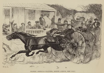 Graficzna Ameryka, Kłus, Ósma Aleja, Nowy Jork