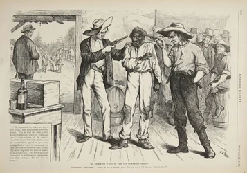Oczywiście, że chce głosować na demokratyczny bilet, 1876