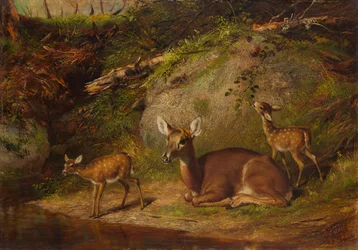 Łania i dwa jelonki, 1882.