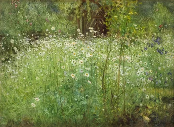 Oxeye stokrotki i irysy, 1920