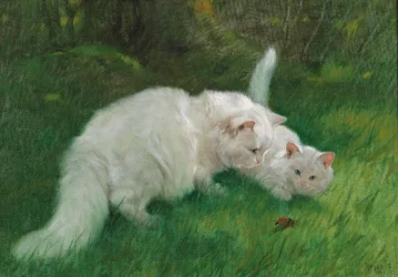Arthur Heyer Ciekawe odkrycie w 1923 roku