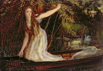 Pani Shalott