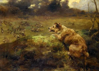 Łowca królików (olej na płótnie)