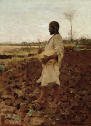 Egipski siewca, 1881