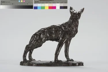 Alert Coyote (brąz)