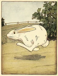 Peter nigdy nie przestał biegać, z The Tale of Peter Rabbit, pub. 1916 (kolor lito)