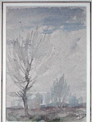 Studium drzewa (akwarela na papierze)