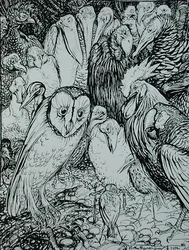 Sowa i ptaki, ilustracja z „Bajek Ezopa”, wydanej przez Heinemann