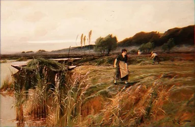 Letnie żniwa