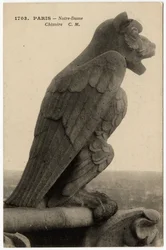 Gargulec lub chimere katedry Notre Dame de Paris, zbudowanej między 1163 a XIV wiekiem - Pocztówka, kolekcja Selva