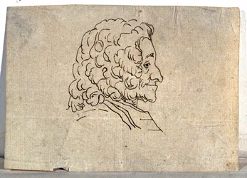 Voltaire, rysunek
