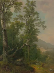 Badania nad drzewami