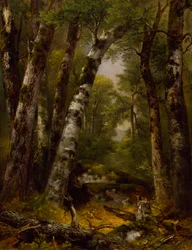 Leśna Glen, ok. 1850-1855.