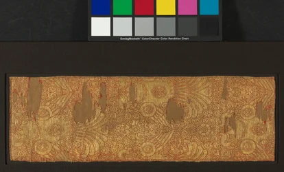Cloth of Gold: wyeksponowane sokoły